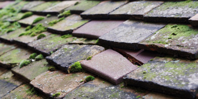 Huntly roof repair costs